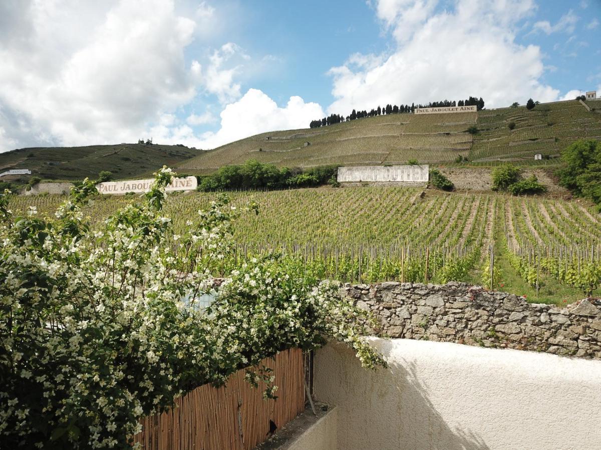 Le Pavillon De L'Hermitage - Spa Ouvert D'Avril A Octobre Tain-lʼHermitage Kültér fotó